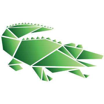 Origami puzzle aligator