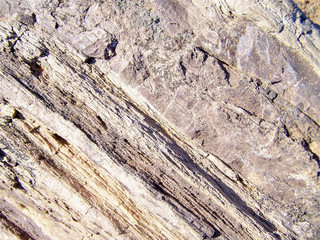 old wood texture