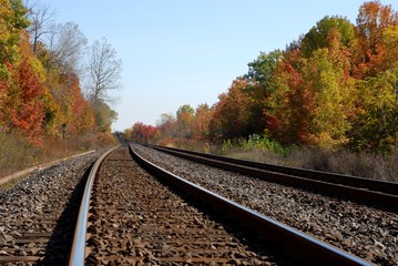 Obraz premium Autumn foliage along railroad tracks