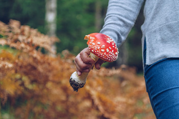 Female holding Amanita Muscaria mushroom
