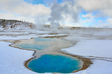 Colloidal Geothermal Pool In Yellowstone National Park