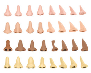 Fototapeta premium Nose vector human male face part nosey breathing smell illustration set of anatomy man breathe nosed organ roman-nose snub-nosed and pug-nosed isolated on white background