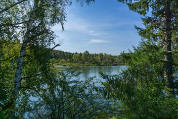 Fototapeta na wymiar View on river through trees