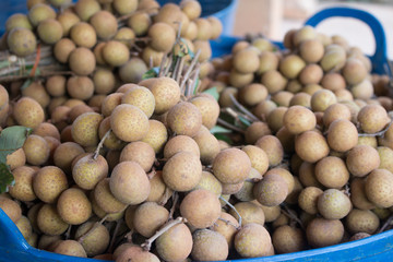 Bunches of longan fruit