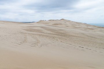 Fototapeta na wymiar Immensité de sable de la dune du Pilat