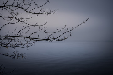 Nebel über dem Wasser