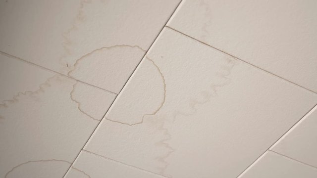 Water damage and brown stains on white ceiling tiles in home. Handheld shot with stabilized camera.