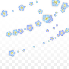 Vector Realistic Blue Flowers Falling on Transparent Background.  Spring Romantic Flowers Illustration. Flying Petals. Sakura Spa Design. Blossom Confetti. Design Elements for Wedding Decoration.
