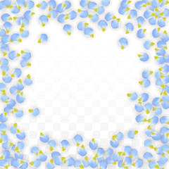 Vector Realistic Blue Petals Falling on Transparent Background.  Spring Romantic Flowers Illustration. Flying Petals. Sakura Spa Design. Blossom Confetti.