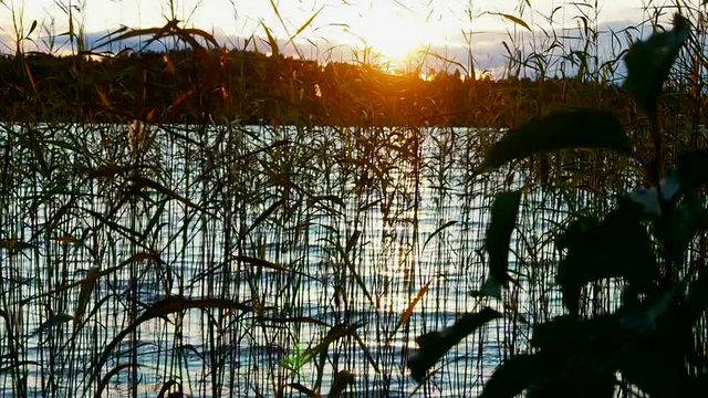 Sunset over the lake of Northern Europe. Landscape of ecologically clean nature of the North. 