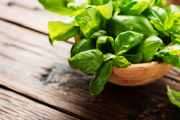Green fresh basil