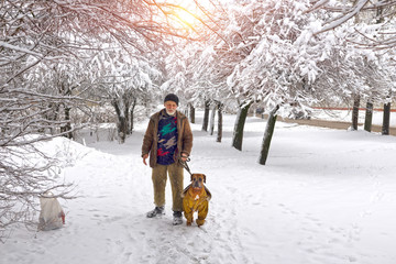 Fototapeta na wymiar walk with a dog