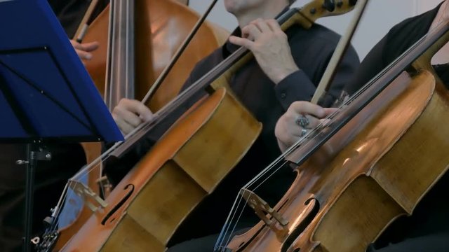 Symphony concert - unrecognizable woman and man playing cello - close up shot. Music and culture concept