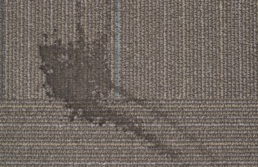 Spilled coffee liquid carpet stain dirty mess accident cleaning concept copy space.