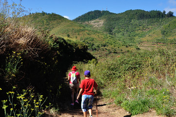 Caminantes