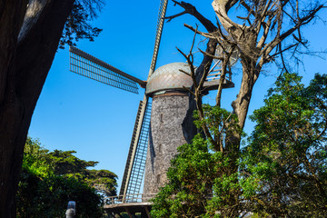 Fototapeta na wymiar windmill in the park