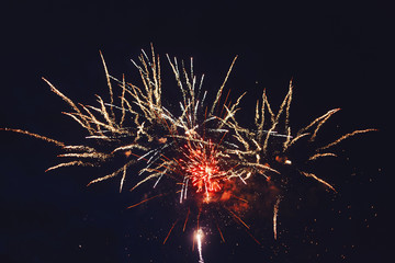 Celebratory bright firework in a night sky. 