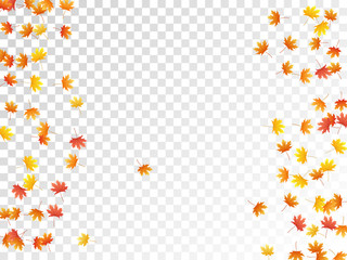 Maple leaves vector, autumn foliage