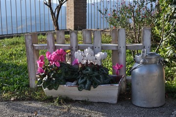 Angolo giardino con staccionata e vaso di fiori