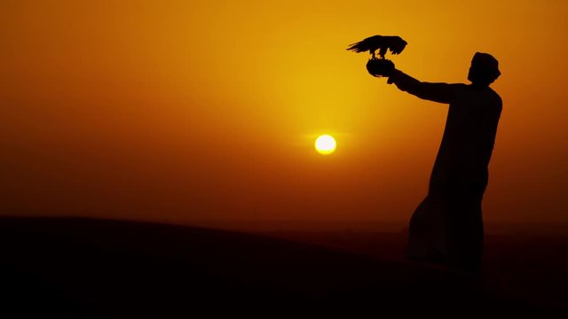 Proud Arab in dishdasha in silhouette at sunrise with his trained falcon