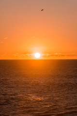 sunset. ocean landscape