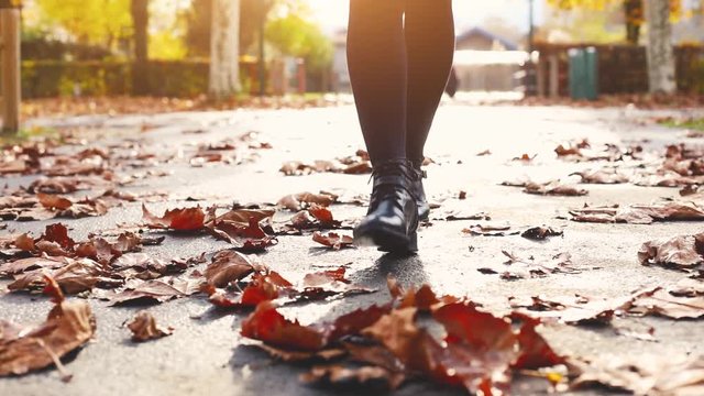 woman legs walking in autumn park, fall season, low angle camera follow with backlight
