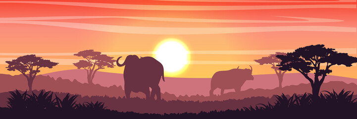 Fototapeta premium Silhouettes of two African black buffalo in the savannah. Grass and acacia trees. Realistic vector landscape. Nature and animals of Africa. Reserves and national parks.