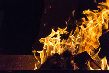 Obraz premium Devilish flame. The fire of hell. Background from dancing tongues of fire. Fire hazard. Fire safety. Passionate love. Bask around the campfire.