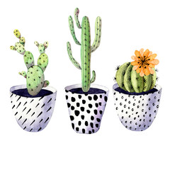 Set watercolor hand-drawn illustration with cactus and succulents. Green house plants illustrations. Cute pots for plants.
