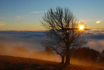 Inversionswetterlage - wunderbare Aussicht auf ein Nebelmeer zum Sonnenaufgang