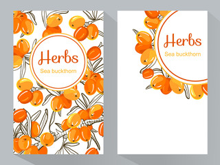  Sea buckthorn branch vertical banners, vector illustration, line art decorative rosehip for design cosmetic, natural medicine, herbal tea, food menu.