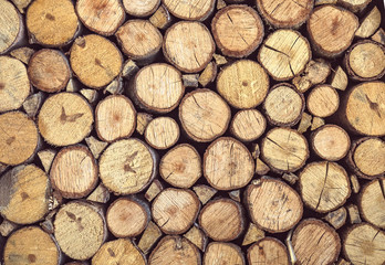 Abstract wooden background  with firewood texture. Natural wallpaper of lumber - pattern of logs or wood pile of dry tree for your wall design in rural style.