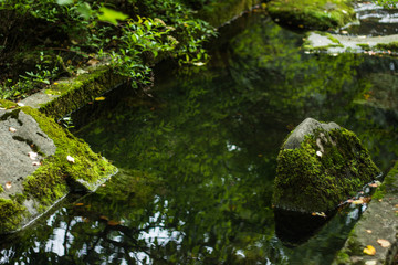 landscape picture of a japanese garden with a small watercourse