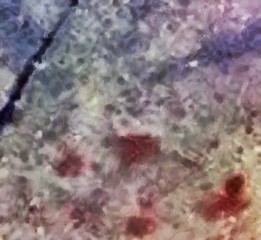 Detailed close-up grunge multi color abstract background. Dry brush strokes hand drawn oil painting on canvas texture. Creative simple pattern for graphic work, web design or wallpaper. 