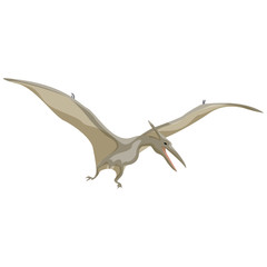 Fototapeta premium Pteranodon. Pterodactyl. Dinosaur. Prehistoric animals. Vector of the Mesozoic or Jurassic.