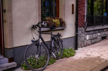 Fototapeta na wymiar common bicycle in the city