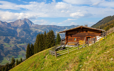 Eine Almhütte in Dorfgastein