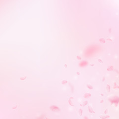 7449446 Sakura petals falling down. Romantic pink flowers