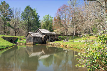Fototapeta na wymiar Spring blossoming at Mabry Mill in the Blue Ridge Mountains