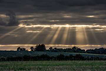 Obraz premium Sun Beams