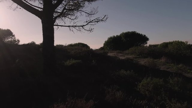 Fonte da Telha Fossil Cliff