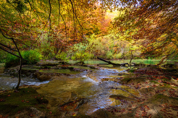 autumnal landscape at Urederra source, Spain
