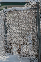 Gate in chain link fence covered with fresh snow