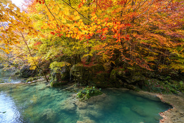 autumnal landscape at Urederra source, Spain