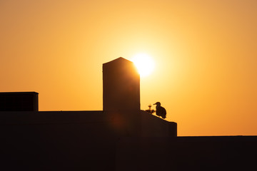 Fototapeta premium Sonnenaufgang in der Algarve