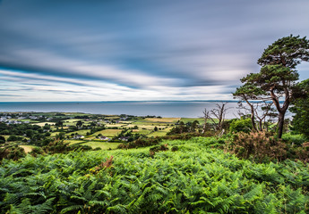 Obraz premium Annaloughan Loop Way. This loop walk overlooks Dundalk Bay. Heather Mountain slopes with a return through the pines and spruces of Rockmarshall forest.