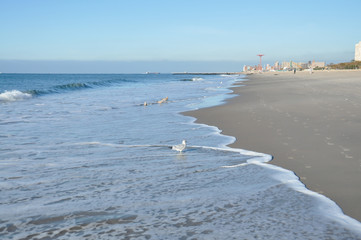 Atlantic ocean in Brighton beach (Brooklyn, New York)