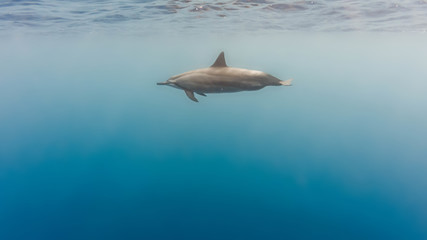 C:\DCIM\100GOPRO\GOPR0469.GPR © Dominik Rueß