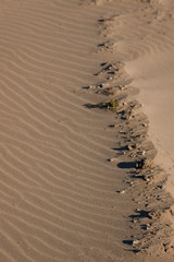 Ripples on the sand