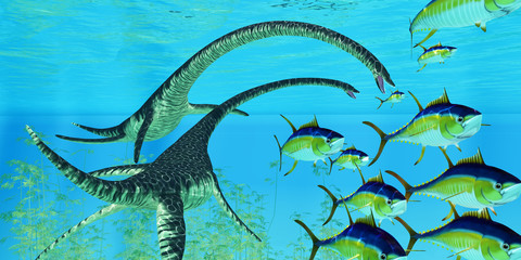 Aquatic Reptile Elasmosaurus - Yellowfin tuna try to escape the jaws of two Elasmosaurus marine reptiles during the Cretaceous Period of North America. © Catmando